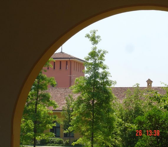 DSC04526