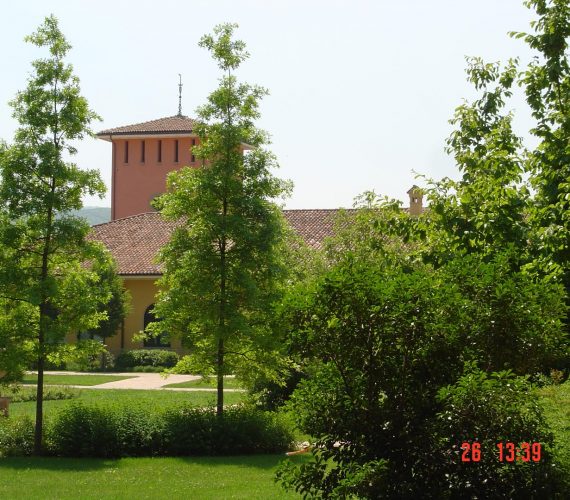 DSC04527