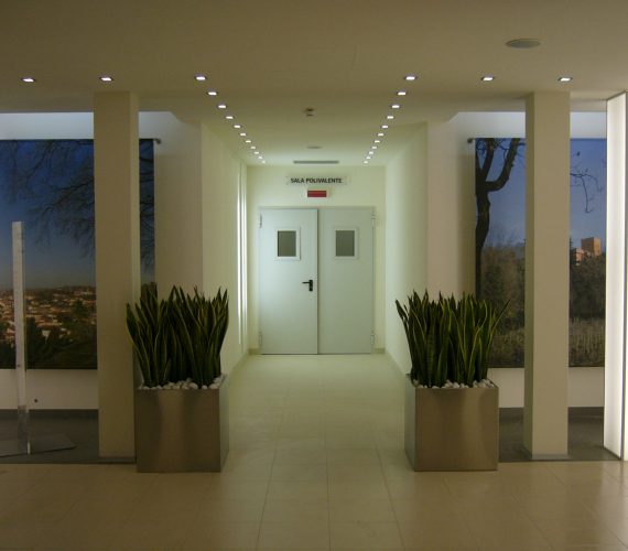 P1020710.JPG